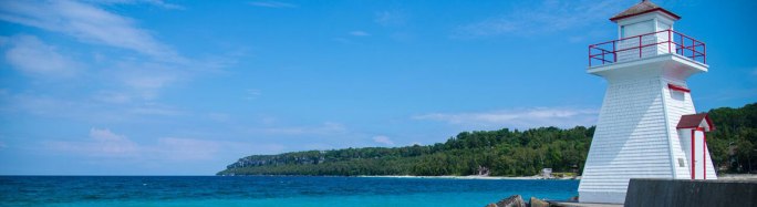 LionsHead-Web-Banner